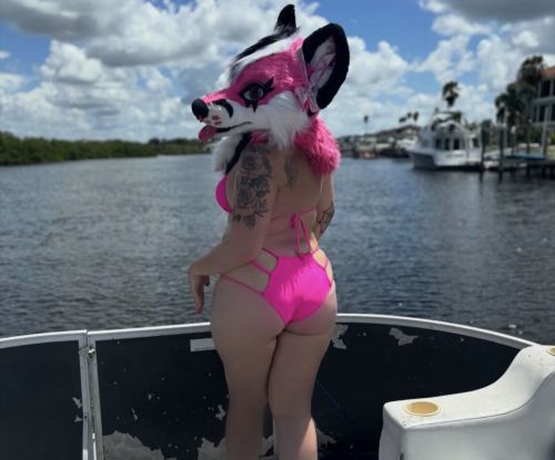 PinkGeminiHusky Spotlight #fap1xg3i9